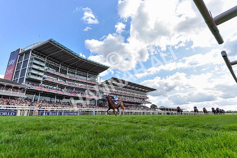 220826-Race 1-Archivist-5919 - Race 1 13.50pm Sky Bet Strensall Stakes