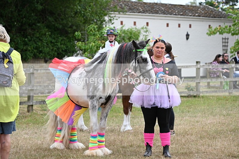 WJ6_9136 - Class 11 Fancy Dress