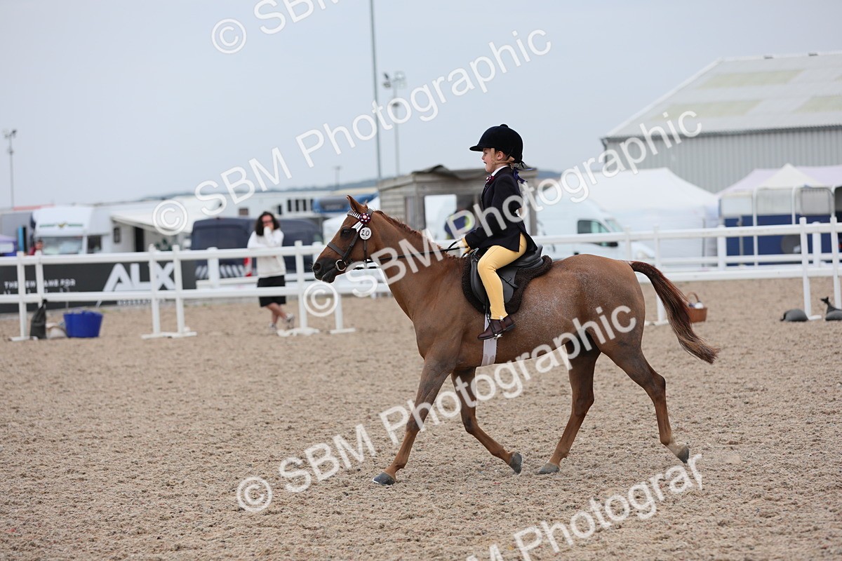 SBM_18134 - Class 316 Best Pony/Rider Combination