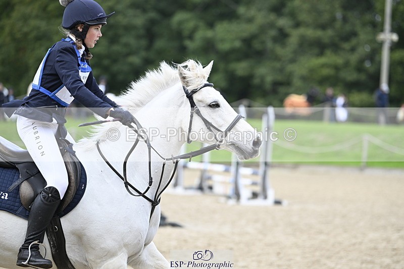 251005A-130750-04068 - Cls 08 Mini 70-75cm