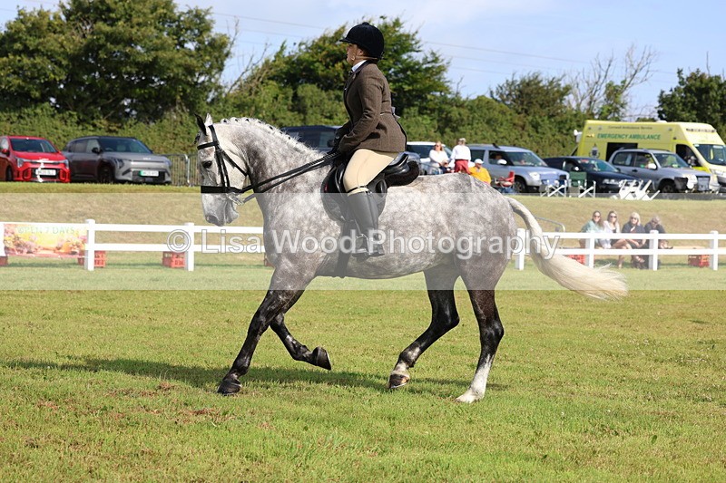 3E7A8806 - Class 3: Rising Star S/L Hunter