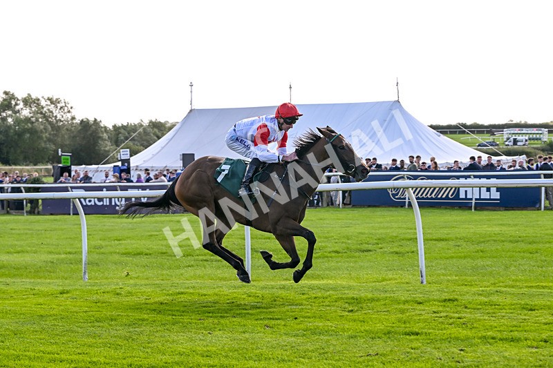 080926-Race 2-Queen Sana-1908 - Race 2 2.28pm Racing TV Club Day Restricted Maiden Stakes