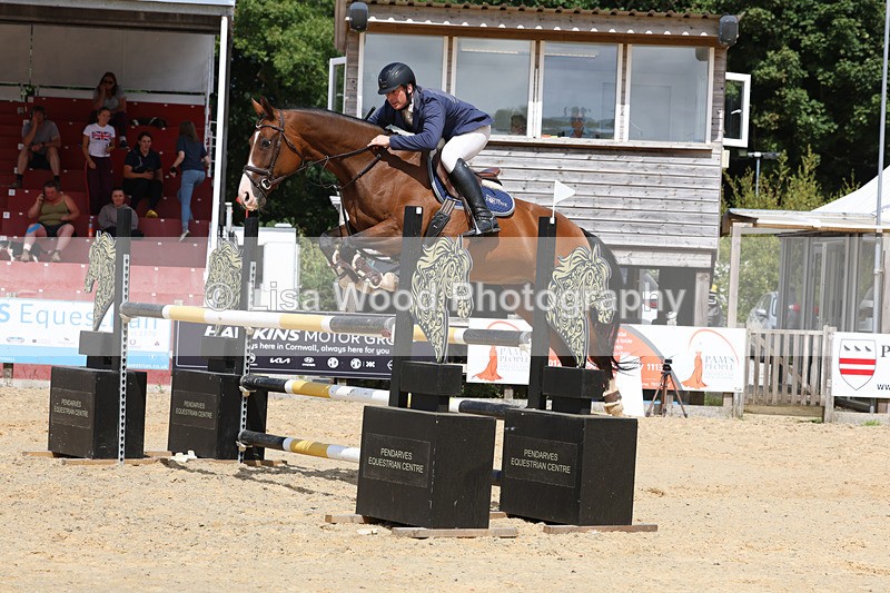 3E7A1954 - Class 9: Senior Foxhunter/1.20 open