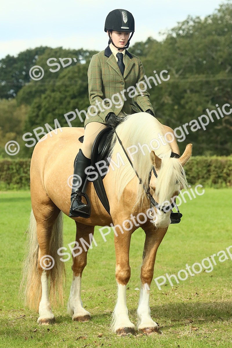 SBM_62674 - S63 - Other Coloured Horse Ridden