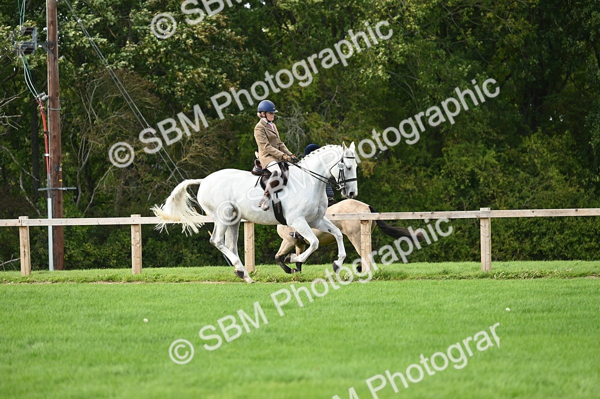 SBM_26401 - S6 - Novice & newcomer Ridden horse