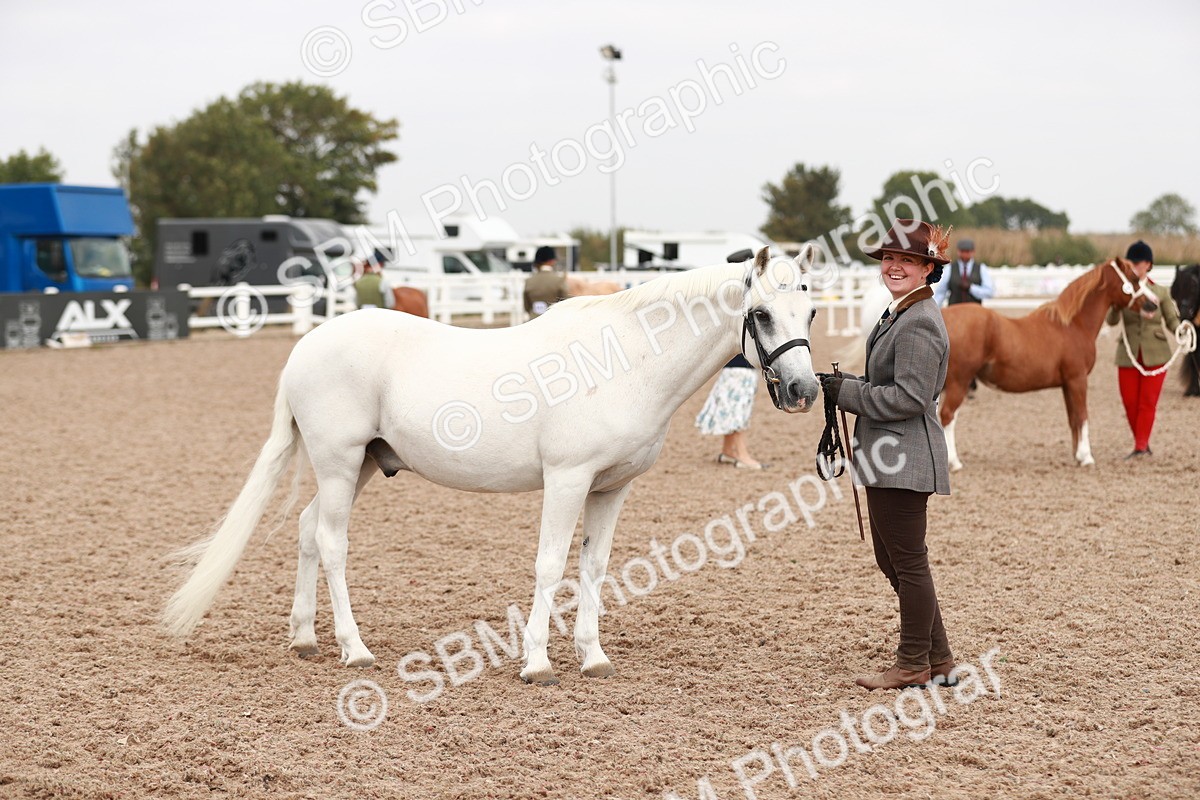 SBM_12542 - Class 207 IH M&M