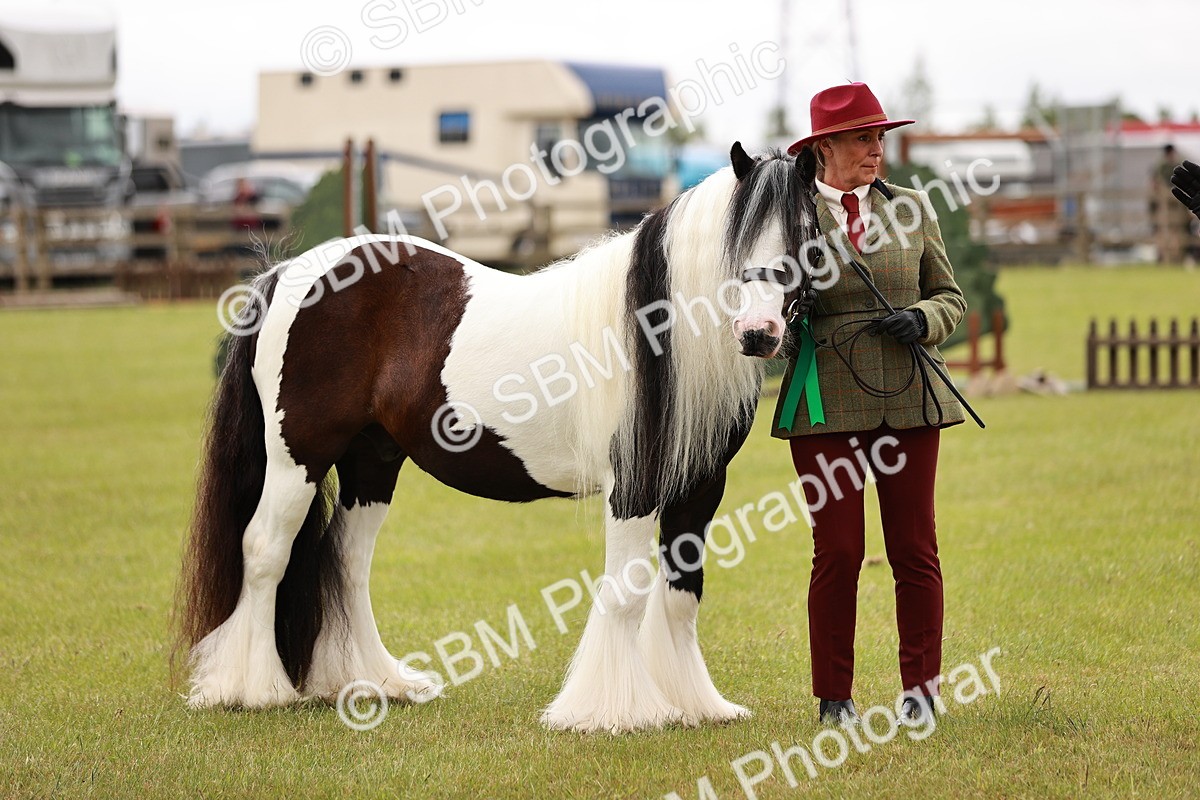 SBM_06072 - Class 39-41 TGCA In Hand and Ridden