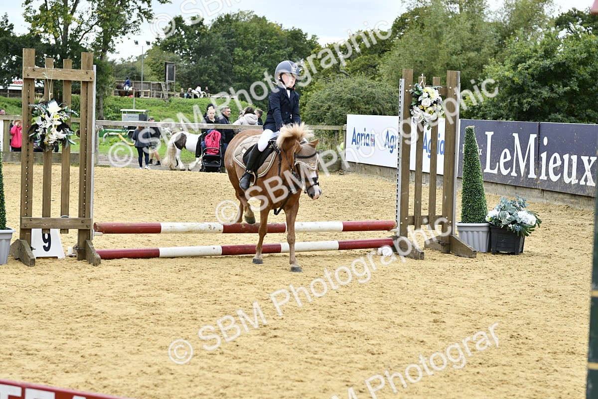 SBM_65472 - J2a mini Tour Junior Pony 30cm Championship