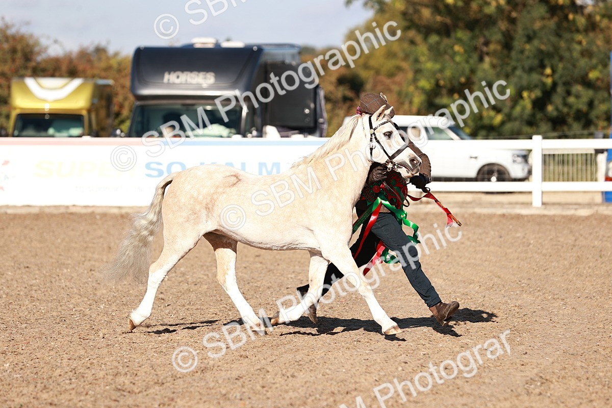 SBM_11474 - Class 402 - IH  Veteran pony