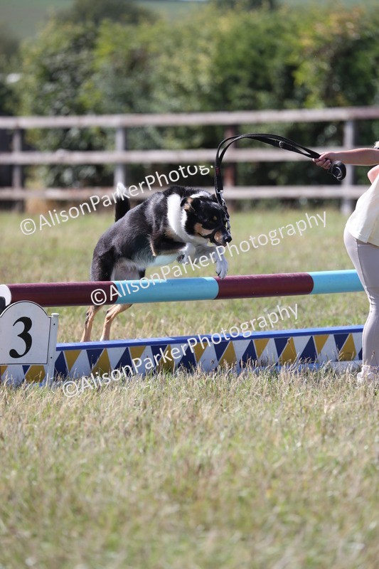 20260906-1634 - Class 10 - Horse & Hound