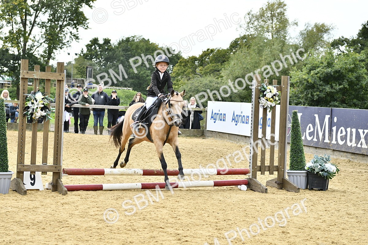 SBM_65533 - J2a mini Tour Junior Pony 30cm Championship