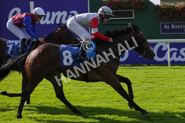 yr08102021r1-22 - Race 1 2.05pm Parsonage Hotel and Cloisters Spa Nursery Handicap