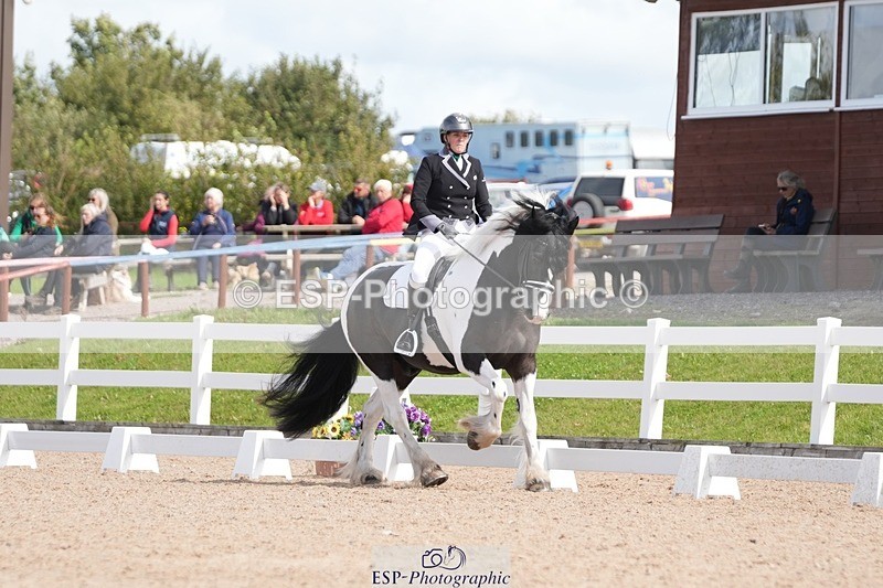 250906-123114-02201 - 014-Katrina.EllisSilverstor.IV