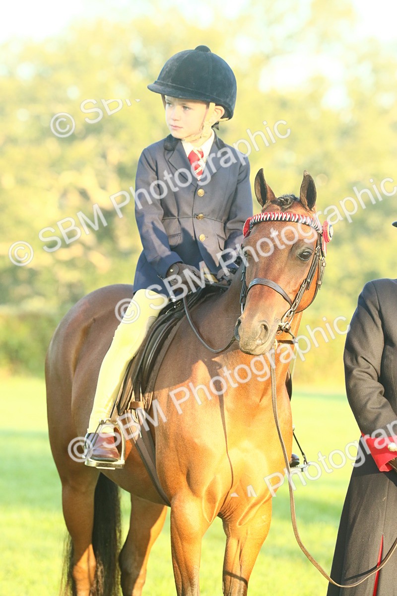 SBM_56527 - S36 - Starters Best Turnout