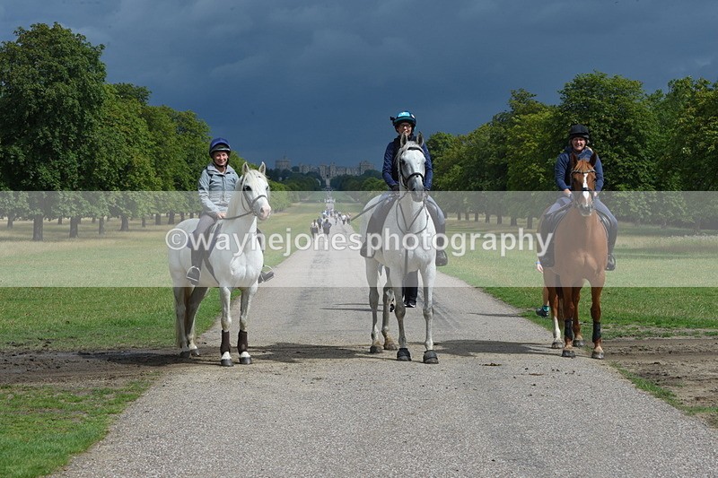 TT3_9221 - Time at Crossing 09:22 to 11:26