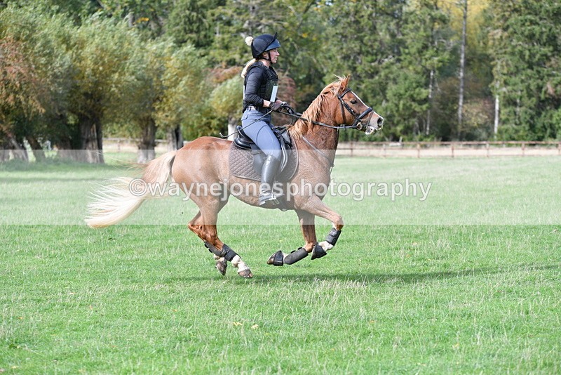 WJ5_0130 - Time 13:25 to 13:58