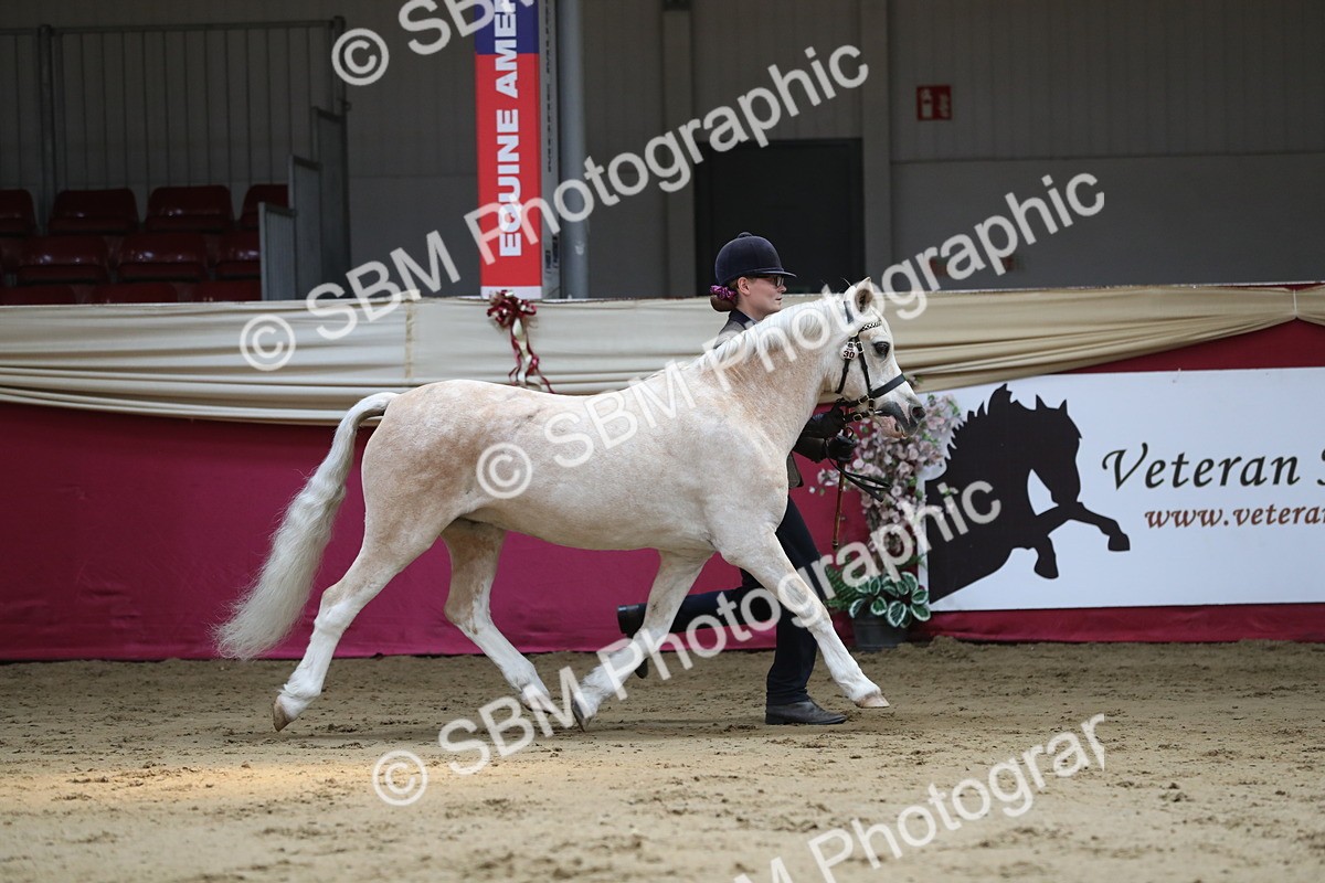 SBM_04329 - Class 7R Regional - IH Diamond