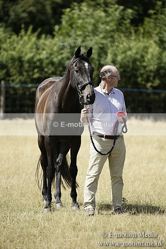 _EP59148 - Roving Camera BVRC Show 2018