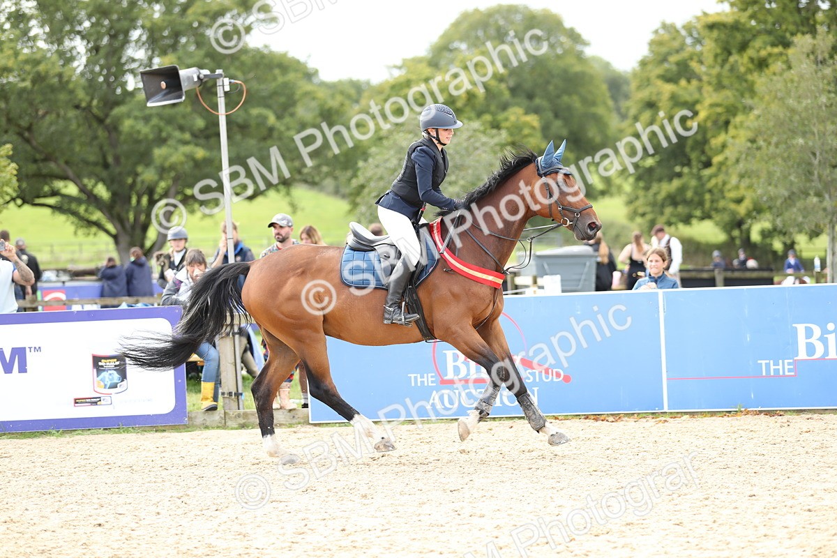SBM_40975 - Supreme Championship 50cm 60cm