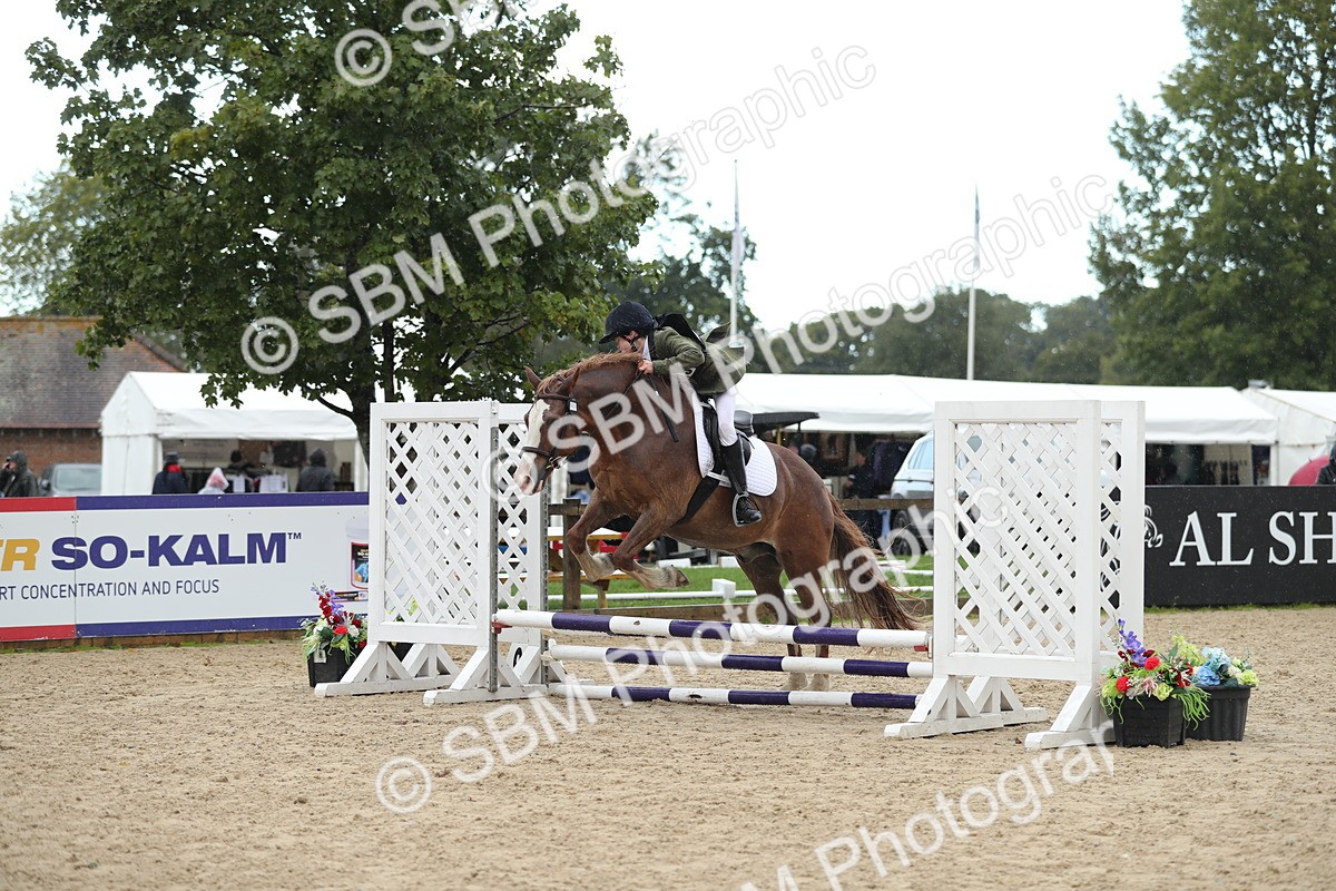 SBM_37194 - J20 - Junior Horse 50cm Championship