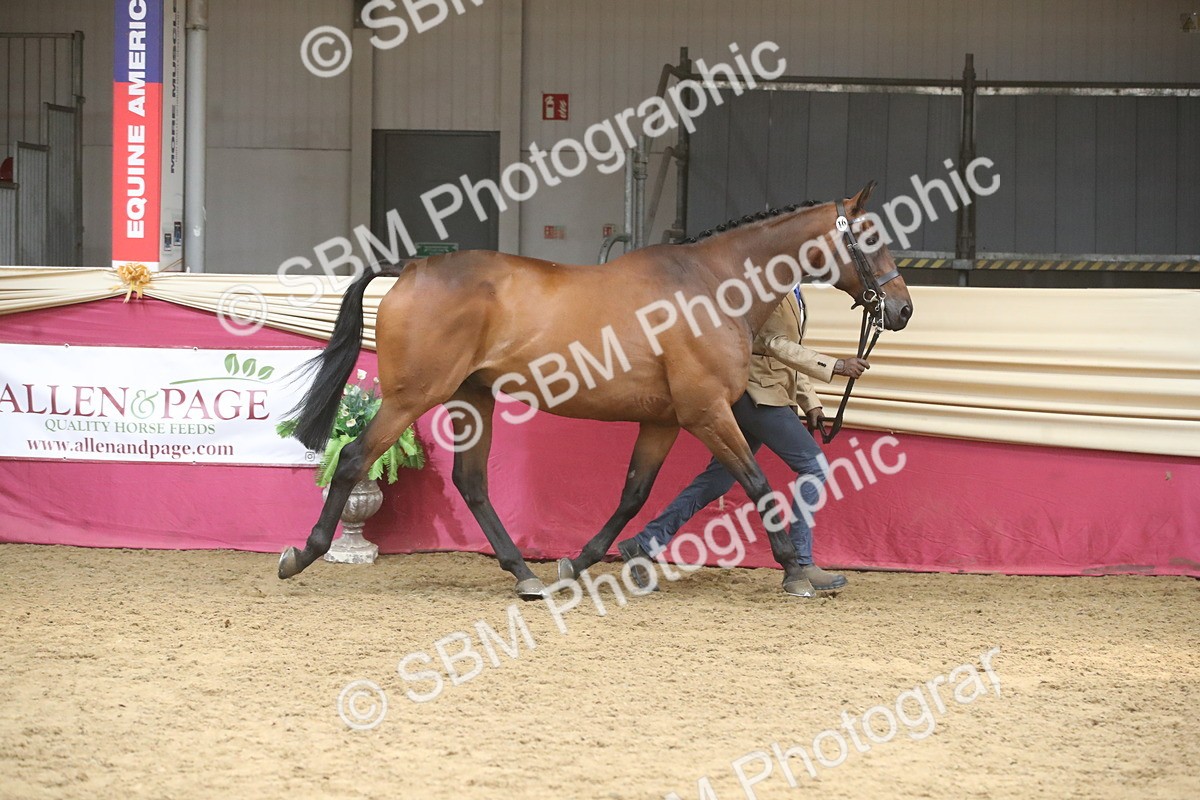 SBM_05526 - Class 9R - Regional IH Pre-Vet