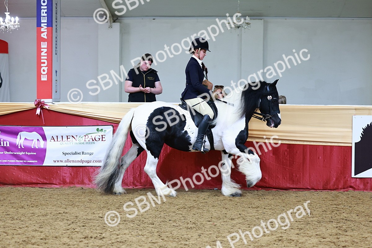 SBM_23463 - class 906 - Supreme Final - Ridden Pre Vet