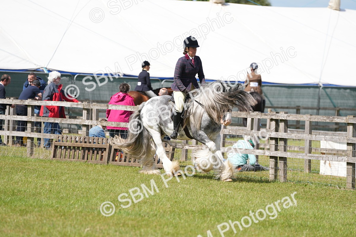 SBM_17134 - Class 107-108 - LIHS BSPS Performance Coloured Horse Pony