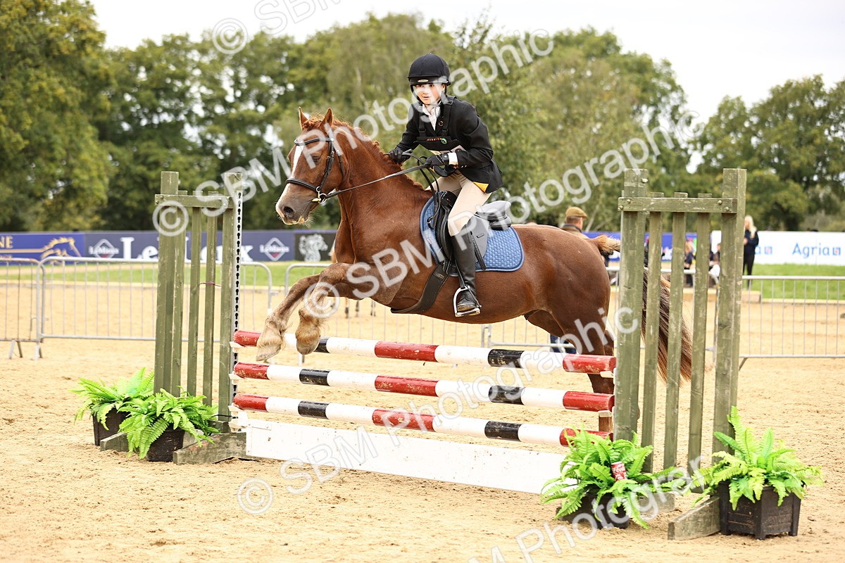 SBM_66450 - J17 - Junior Pony 80cm Championship