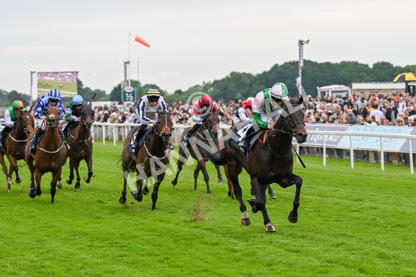 250524-Race 3-Starlust-3240 - Race 3 2.45pm William Hill Extra Place Races Daily Handicap