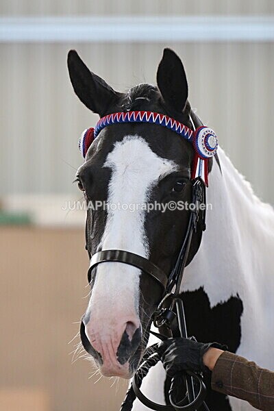 SIAL9901 - Indoor Classes