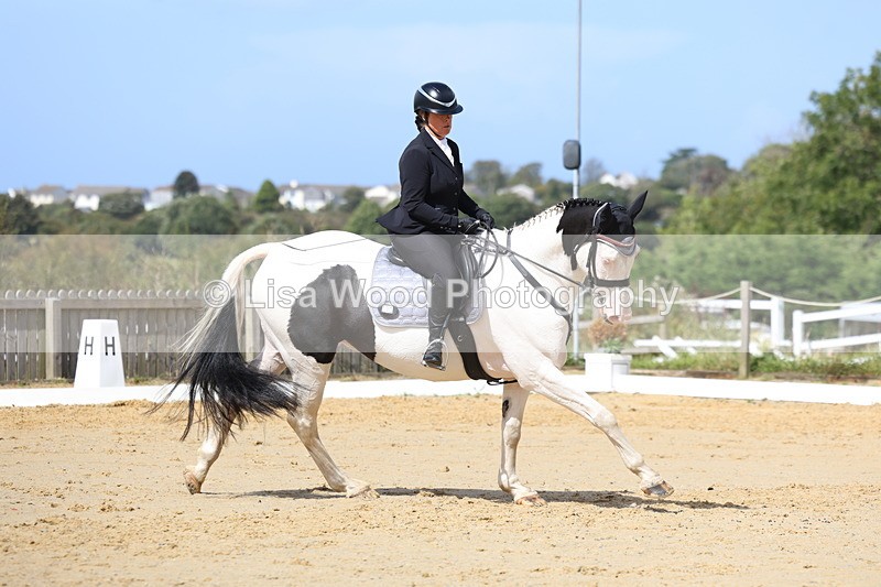 3E7A4083 - Class 9: Novice 6 Section B Championship