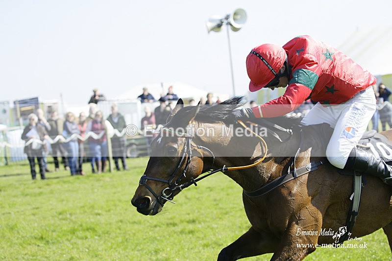 PtP 190322 307 - Wilton Hunt PtP Milborne St Andrew 19/03/22
