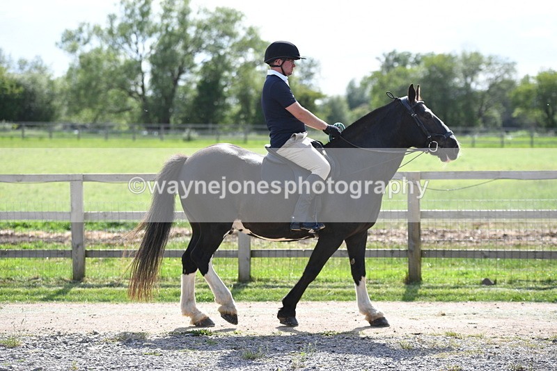 WJ5_7697 - Time 16:40 to 16:55