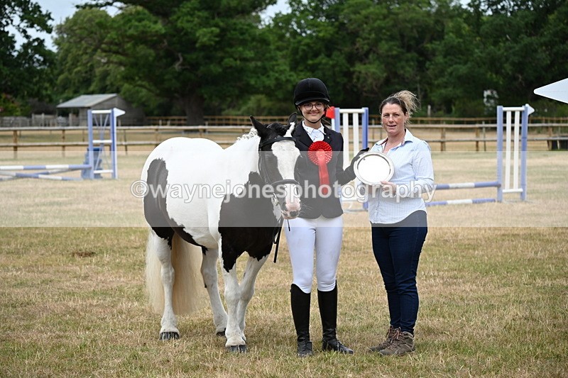 WJ6_4453 - Class 10 Coloured In-hand