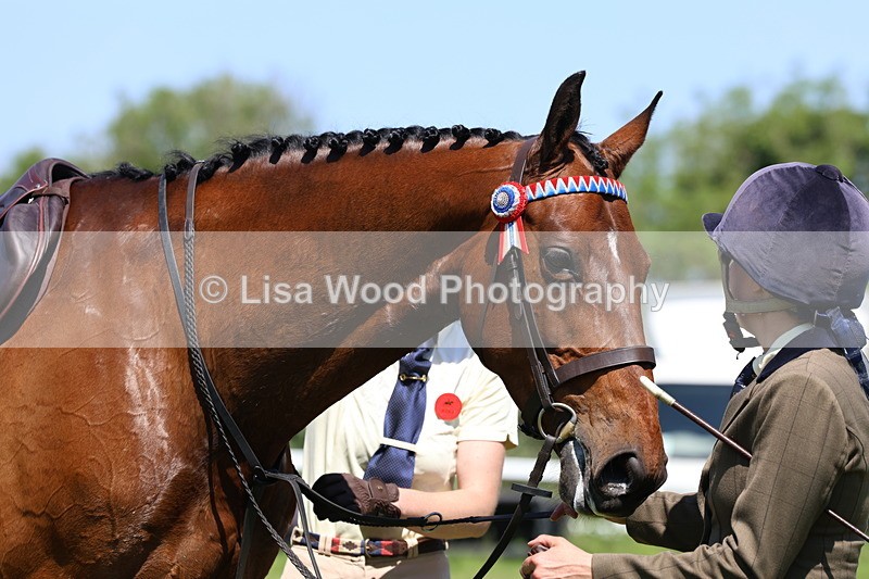 3E7A7540 - Class 31: Working Hunter Cob/Riding Horse