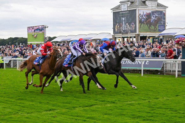 210824-Race 3-Los Angeles-4895 - Race 3 3.00pm Sky Bet Great Voltigeur Stakes