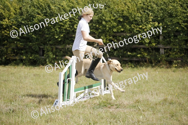 20250831-3849 - Dog Show