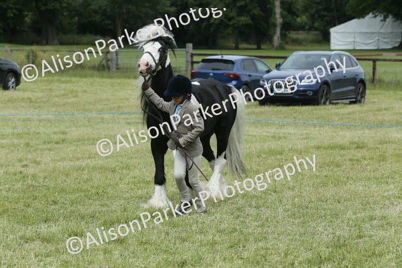 20260614-4271 - Class 18 - Best Junior Handler