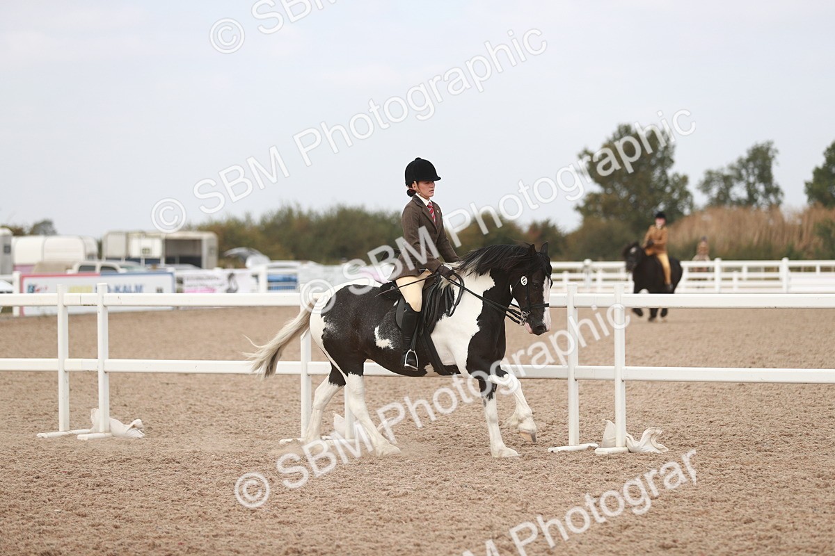 SBM_16683 - Class 214 Ridden Cob