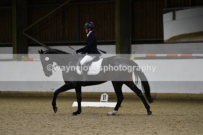 WJ5_8862 - Class 5 Novice Test 3