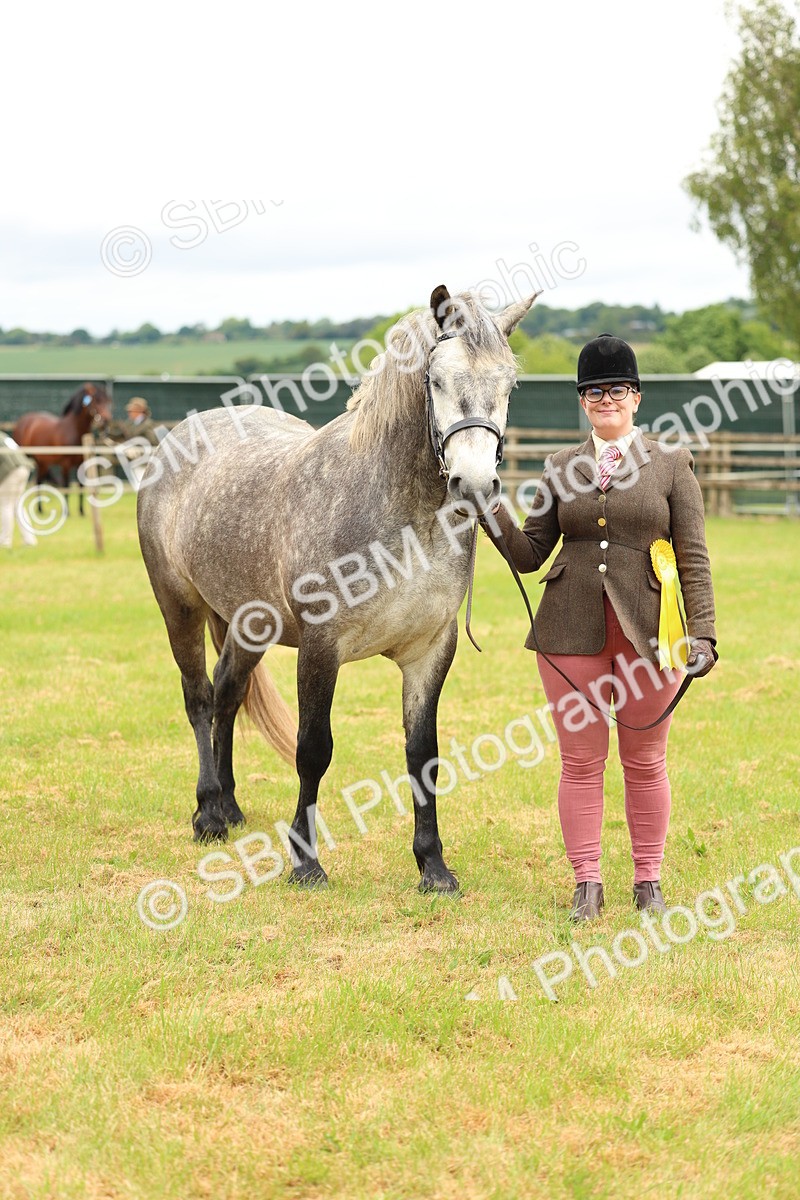 SBM_04130 - Class 64-67 - Shetland Pony In Hand