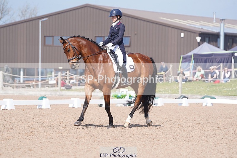 250404-122534-05652 - 028-Elizabeth.Allen-Heraldik