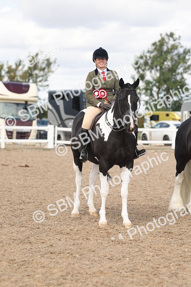 SBM_14839 - Class 308 - Ridden Coloured Horse
