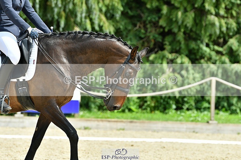 230623-142817-00978 - Cls 5 Elementary 43