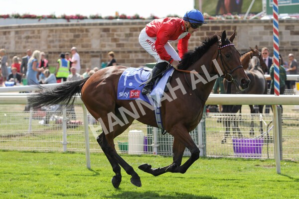 yr20082022r1-24 - Race 1 1.50pm Sky Bet & Symphony Group Strensall Stakes