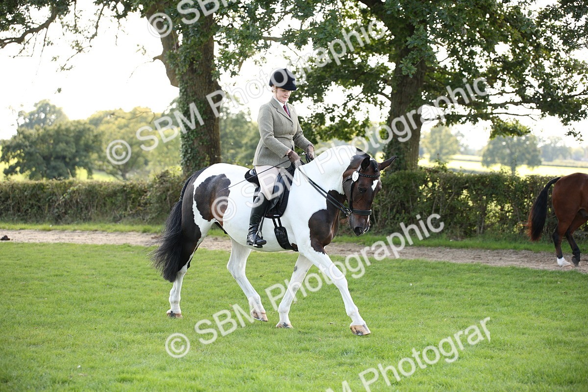 SBM_50110 - S26 - Young Veteran - Ridden