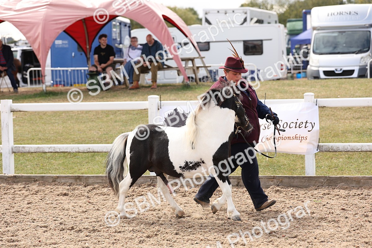 SBM_15098 - Class 209 - IH Veteran Pony