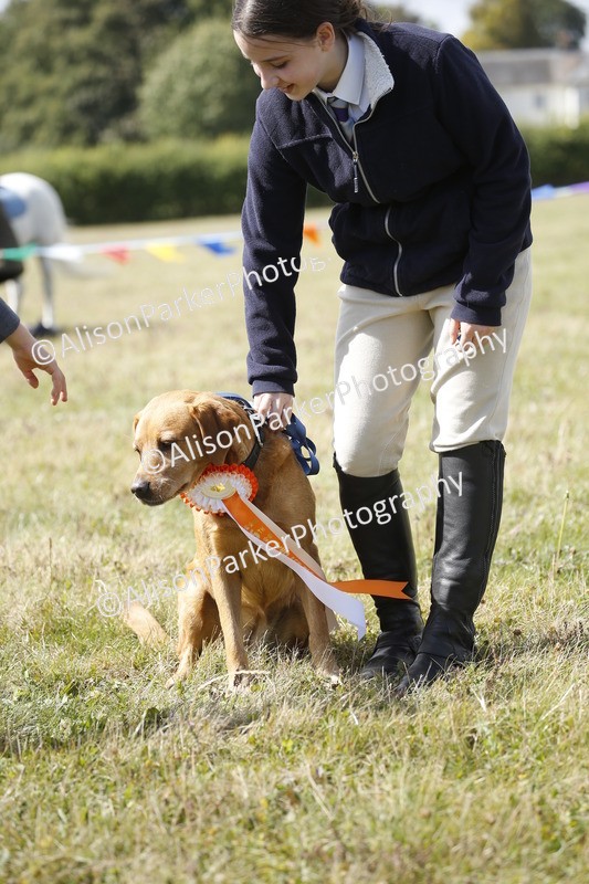 20250831-3807 - Dog Show