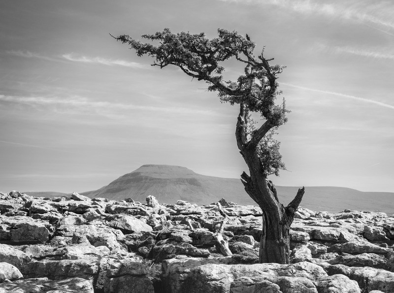  - Distant Hills
