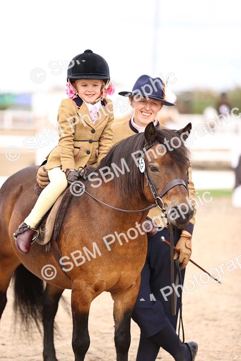SBM_16168 - Class 420 - Horse-Pony Judge would most like to take home (IH or Ridden) Jnr